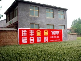  汤阴如何让墙体广告展现最大化效果