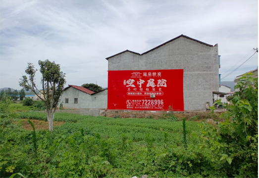  汤阴做墙体广告的意义